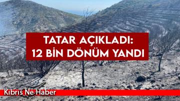 Cumhurbaşkanı Tatar: 12 bin dönüm yandı