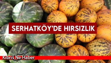 Karpuz ve kavunları çaldı