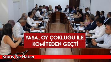 Yasa, oy çokluğu ile geçti ve Genel Kurula sevk edildi