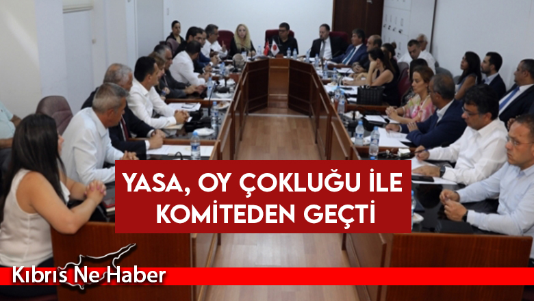 Yasa, oy çokluğu ile geçti ve Genel Kurula sevk edildi