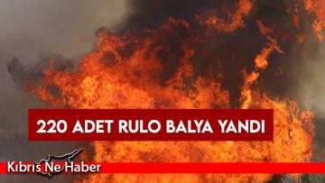 220 Adet Balya Yandı…