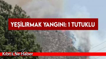Yeşilırmak yangını: 1 tutuklu