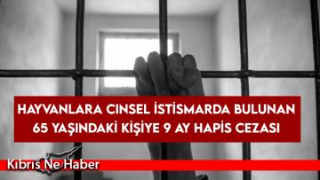 Hayvanlara cinsel istismarda bulunan 65 yaşındaki kişiye 9 ay hapis cezası