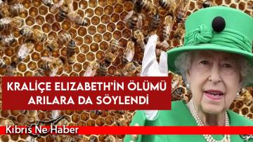 Kraliçe Elizabeth’in ölümü arılara da söylendi