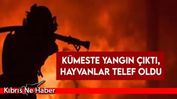 Sütlüce’de Yangın!