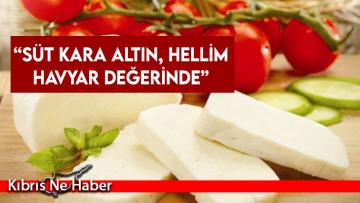 “Süt Kara Altın, Hellim Havyar Değerinde”