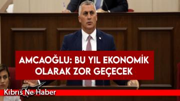 Amcaoğlu: Bu yıl ekonomik olarak zor geçecek