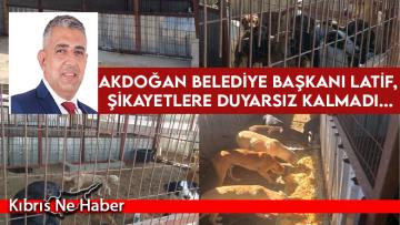 Latif: Köpeklerin güvenli bir şekilde yaşayabilecekleri bir yer düzenledik