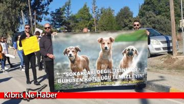 Cumhurbaşkanı Tatar: ‘Her canlı, yaşam hakkına müdahale edilmeden, daha güzel bir hayatı hak ediyor’