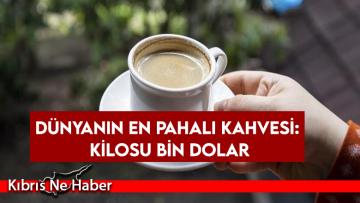 Dünyanın en pahalı kahvesi: Kilosu bin dolar