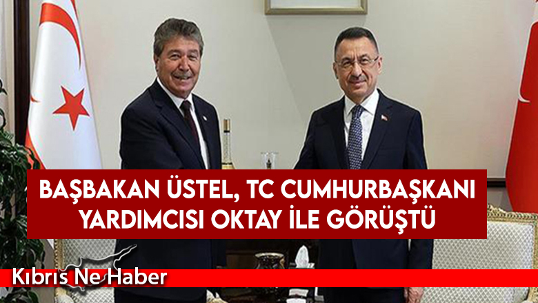 Üstel TC Cumhurbaşkanı Yardımcısı Oktay ile görüştü