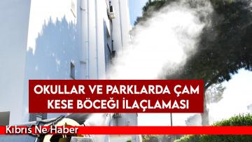 Okullar ve Parklarda Çam Kese Böceği İlaçlaması