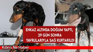 Enkaz altında doğum yaptı, 29 gün sonra yavrularıyla sağ kurtarıldı