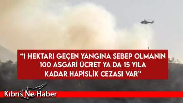 “1 hektarı geçen yangına sebep olmanın 100 asgari ücret ya da 15 yıla kadar hapislik cezası var”