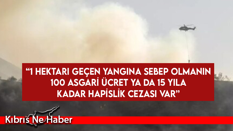 “1 hektarı geçen yangına sebep olmanın 100 asgari ücret ya da 15 yıla kadar hapislik cezası var”
