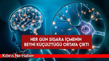 Her gün sigara içmenin beyni küçülttüğü ortaya çıktı