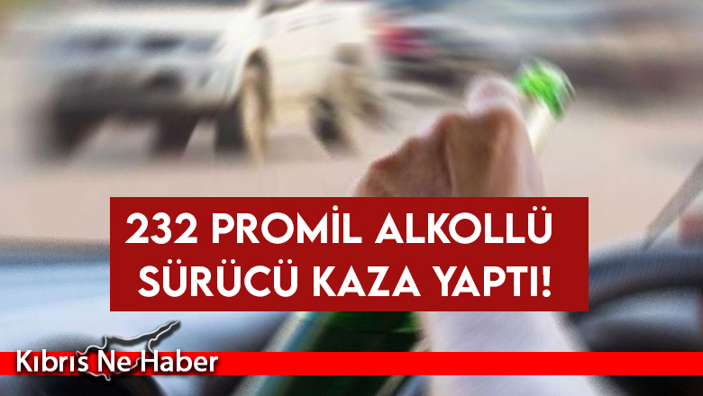 232 miligram alkollü içki tesiri altındaki sürücü bahçe duvarına çarptı