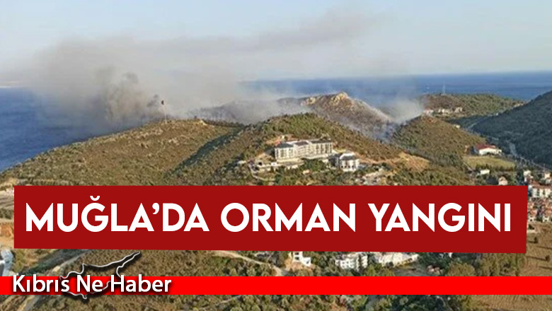 Muğla’da orman yangını