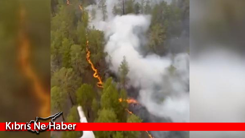 Kazakistan’da orman yangını: 14 işçi hayatını kaybetti