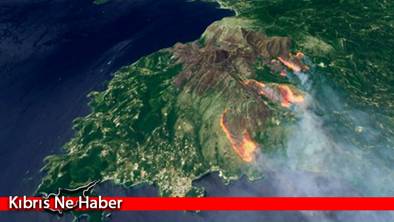 Akdeniz ülkelerindeki orman yangınlarında 40’tan fazla kişi öldü