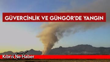 Güvercinlik ve Güngör’de yangın