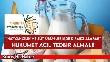 KTSO: Hellim maliyetlerimizin yüksekliği nedeniyle satılamama riski ile karşı karşıya