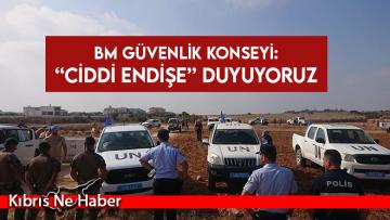 BM Güvenlik Konseyi’nden Pile bölgesinde yaşanan gelişmeler hakkında açıklama