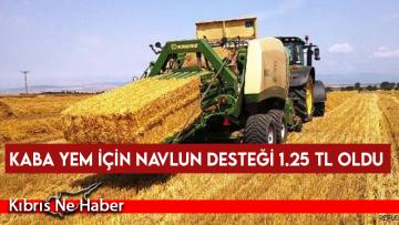 Kaba yem için navlun desteği 1.25 TL oldu