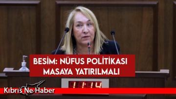 Besim: Nüfus politikası masaya yatırılmalı