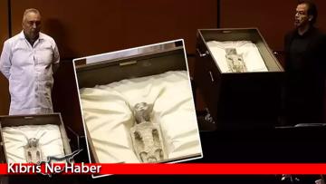 Uzaylıları resmen ifşa ettiler! En az 1000 yaşındalar, bu dünyaya ait değiller