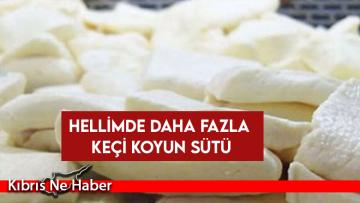 Hellim Üretiminde Keçi-Koyun Süt Oranı Artırılıyor