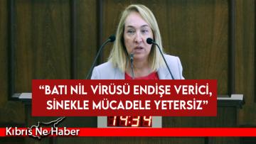 “Batı Nil Virüsü endişe verici, sinekle mücadele yetersiz”