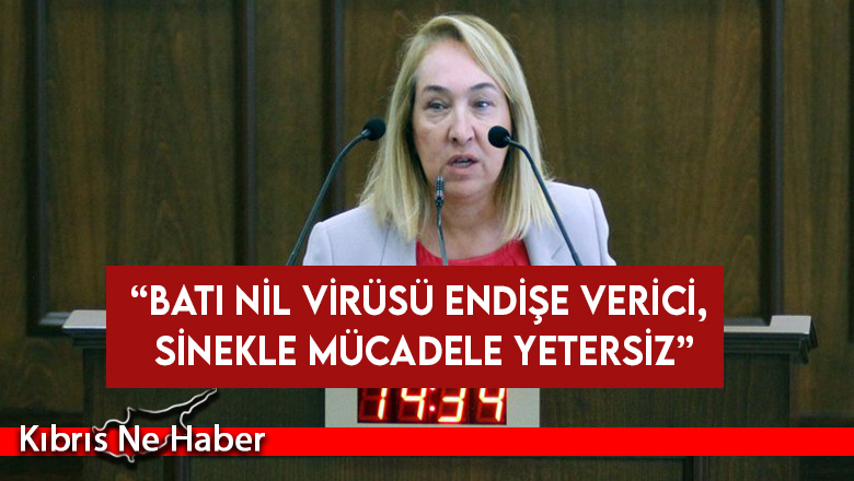 “Batı Nil Virüsü endişe verici, sinekle mücadele yetersiz”