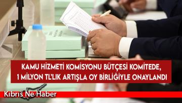 Kamu Hizmeti Komisyonu bütçesi komitede, 1 milyon TL’lik artışla oy birliğiyle onaylandı