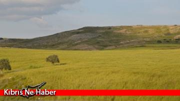 Alaniçi köyünde ‘Tahıl Alanlarında Görülen Hastalık ve Zararlıları’ konulu eğitim düzenlenecek