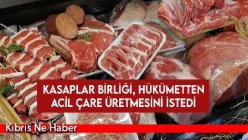 Kasaplar Birliği, hükümetten acil çare üretmesini istedi