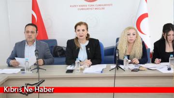 Meclis Ekonomi, Maliye, Bütçe ve Plan Komitesi toplandı