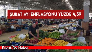 Şubat ayı enflasyonu yüzde 4,59