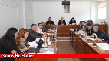 Meclis Komitesinde ”Muhasebe ve Denetim Meslek Yasa Tasarısı” ele alındı