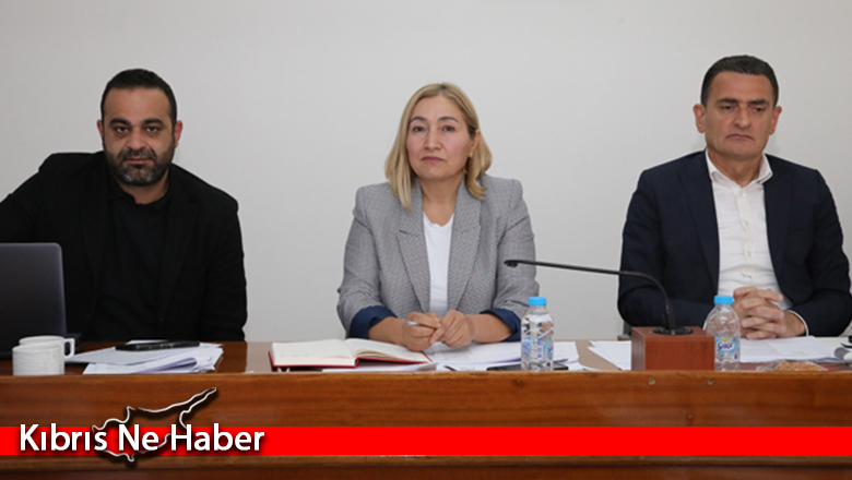 Hukuk, Siyasi İşler ve Dışilişkiler Komitesi toplandı