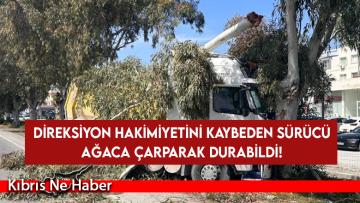 Direksiyon hakimiyetini kaybeden sürücü ağaca çarparak durabildi!