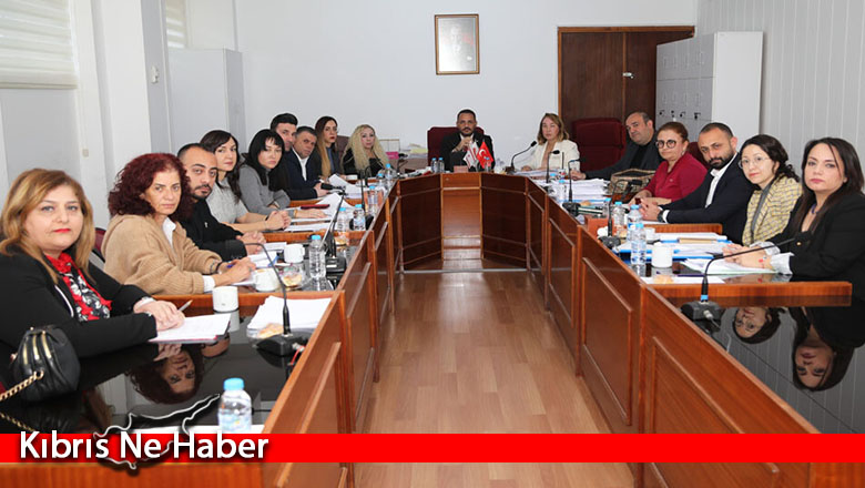 “İlaç ve Eczacılık Dairesi (değişiklik) Yasa Tasarısı” komitede ele alındı
