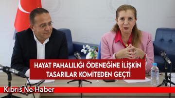 Hayat pahalılığı ödeneğine ilişkin tasarılar komiteden geçti