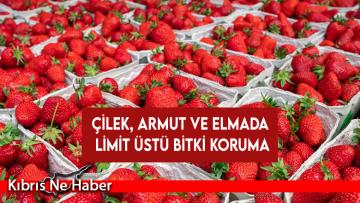 Çilek, armut ve elmada limit üstü bitki koruma