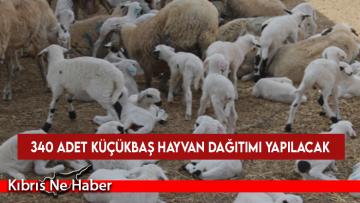 “Küçükbaş Hayvancılığın Yaygınlaştırılması Programı” kapsamında 340 adet küçükbaş hayvan dağıtımı yapılacak