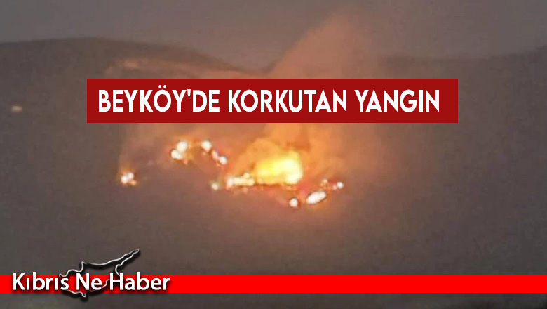 Rüzgarın etkisiyle büyüyen yangına itfaiye ekibi müdahale ediyor…