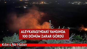 Alevkayası’ndaki yangında 100 dönüm zarar gördü