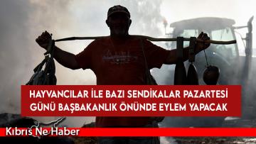 Hayvancılar ile bazı sendikalar pazartesi günü Başbakanlık önünde eylem yapacak