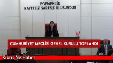 Cumhuriyet Meclisi Genel Kurulu hem yasama hem de denetim göreviyle toplandı