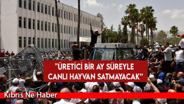 Naimoğulları: Üretici bir ay süreyle canlı hayvan satmayacak